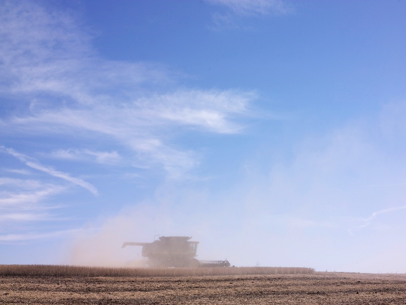 Dust at Harvest
