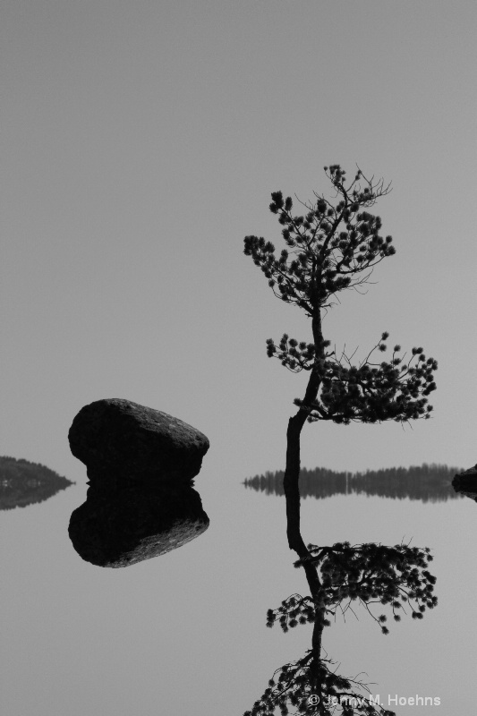 Reflections of Zen