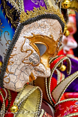 ~ ~ MASK OF VENICE ~ ~