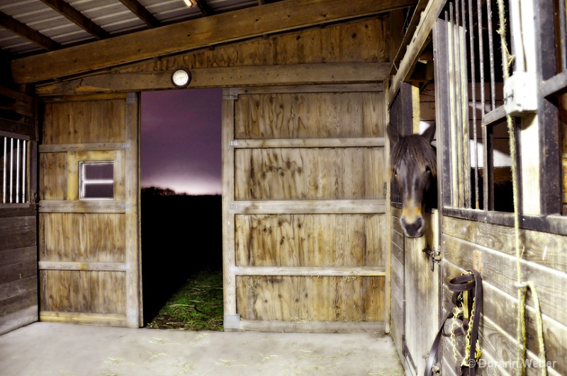 Sunrise, Awakening on the Farm