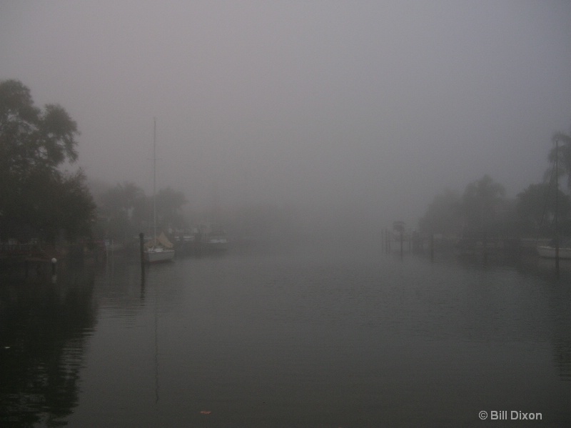 Florida Foggy Morning