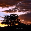 Goodnight Colorad...