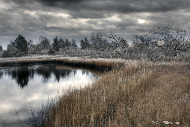 Frost on the Marsh