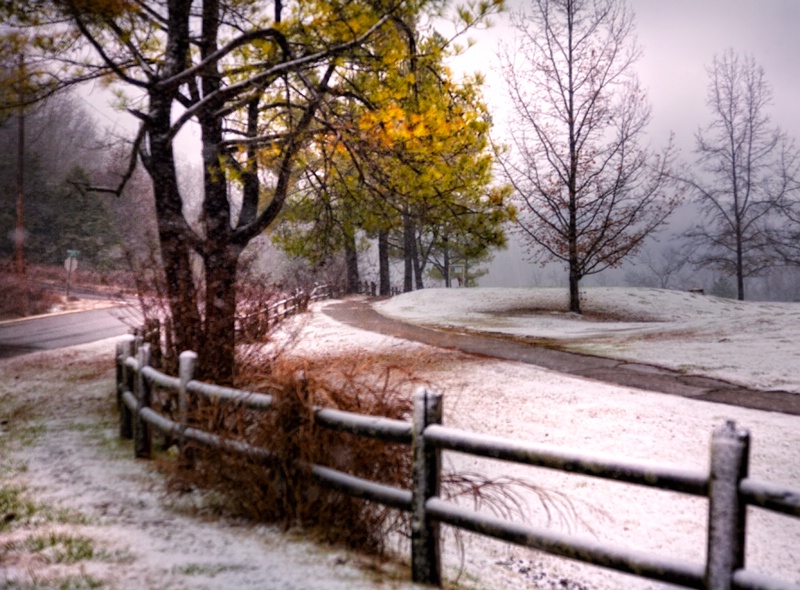 Arkansas's First Snow of the Season