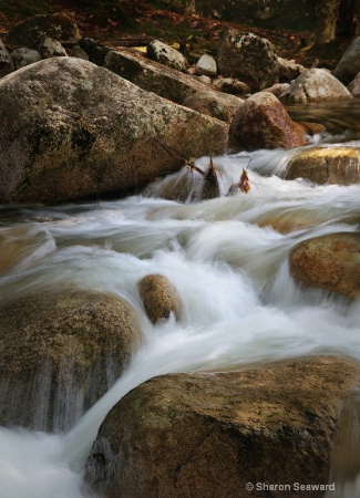 Sabbaday Falls, NH