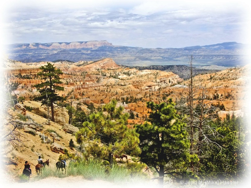 brice canyon with horses