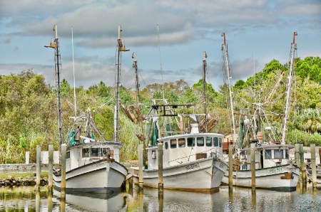 Shrimp Boats