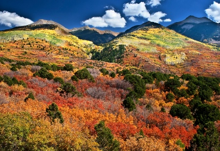 La Sal Mountain Autumn