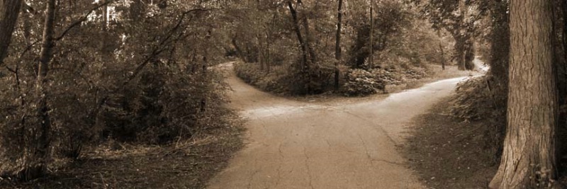 Divided Path in sepia