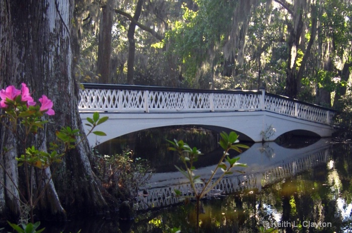 Bridge at Magnolia Gardens, SC
