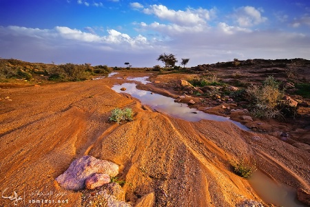 saudi landscape-2