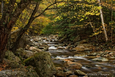 Roaring Brook