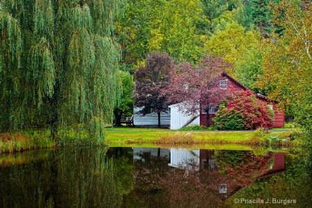 Reflections