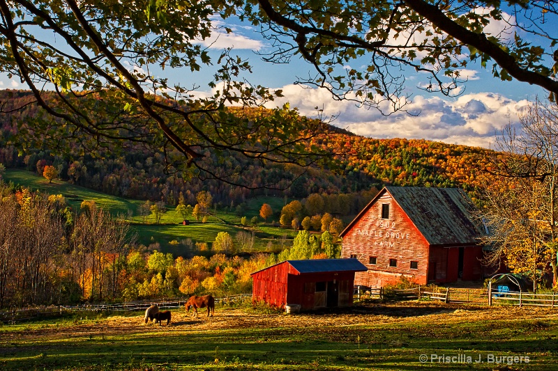 Sunset at Maple Grove Farm