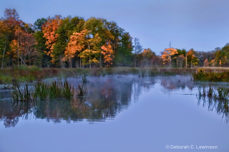 The Great Swamp - ID: 12610360 © Deborah C. Lewinson