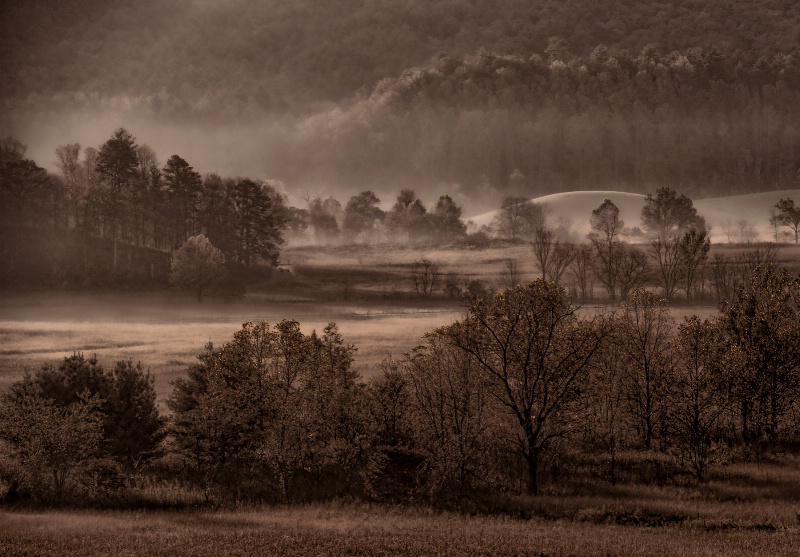 Early Morning Mist