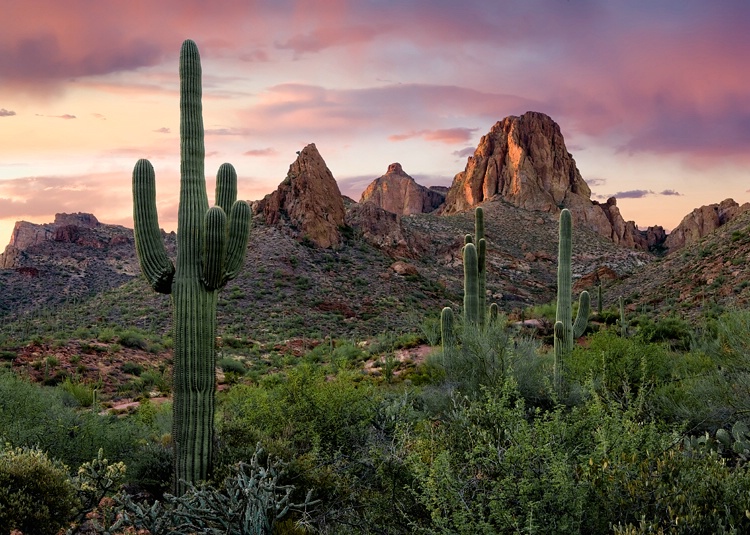 Superstition Mtns.