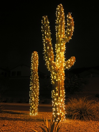 Arizona Christmas Tree