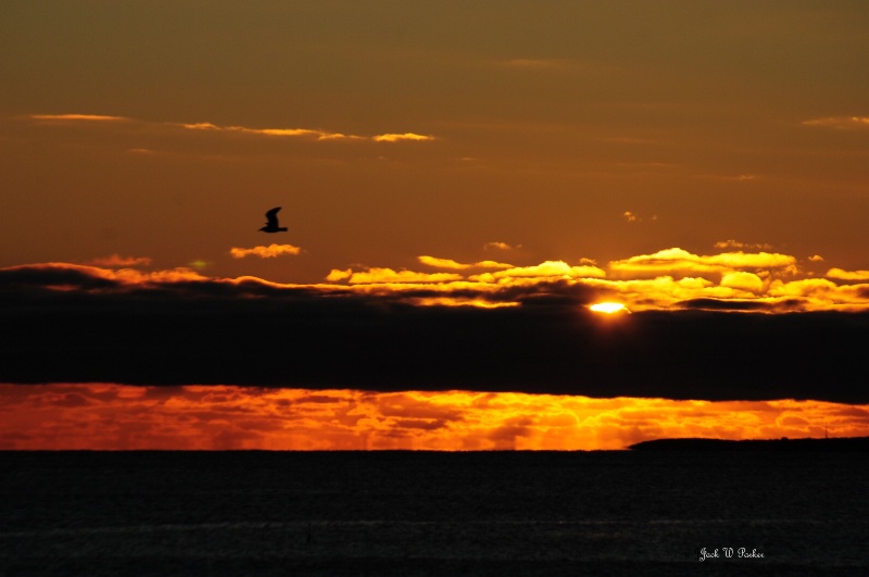 SUNRISE FLIGHT