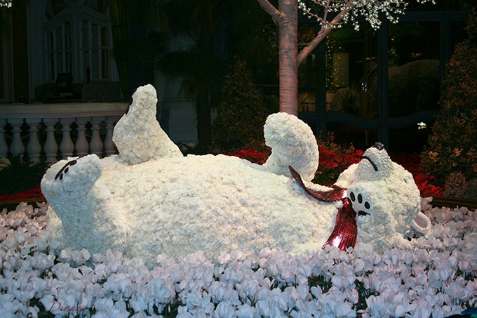 Frolicking in the flowers!