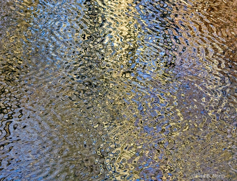 Water Elements - Pond Reflections