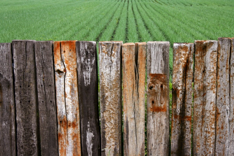 Field and Fence