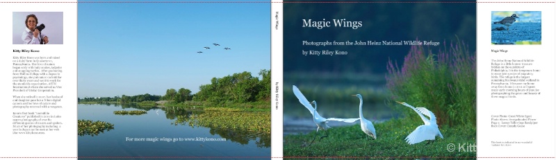 Magic Wings - Birds of the John Heinz National Wil