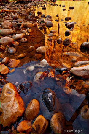 zions virgin river reflection