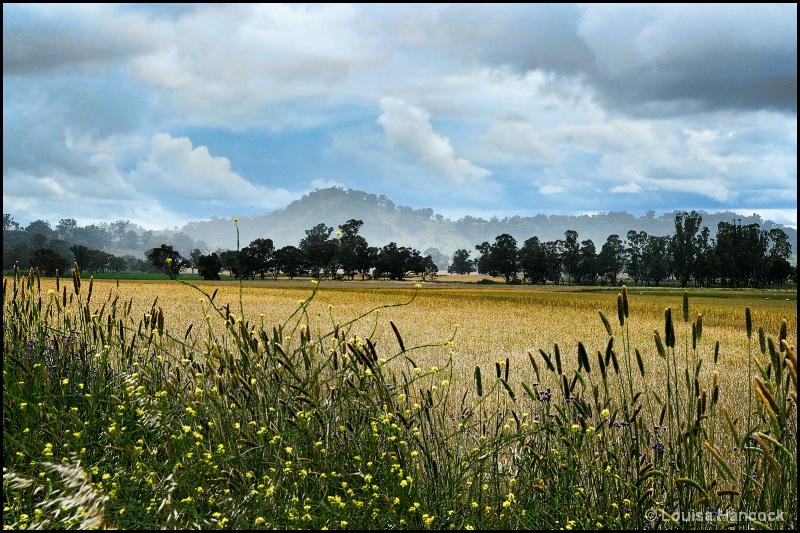 Beauty of Australia