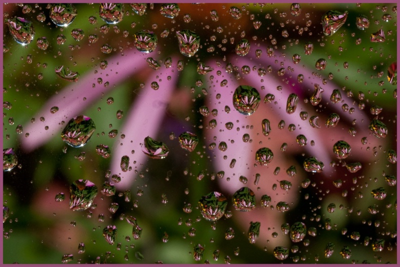 Waterdrops