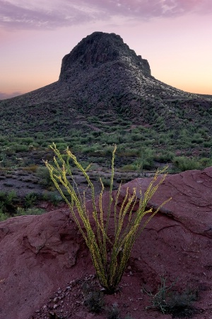 Superstition Mtns.