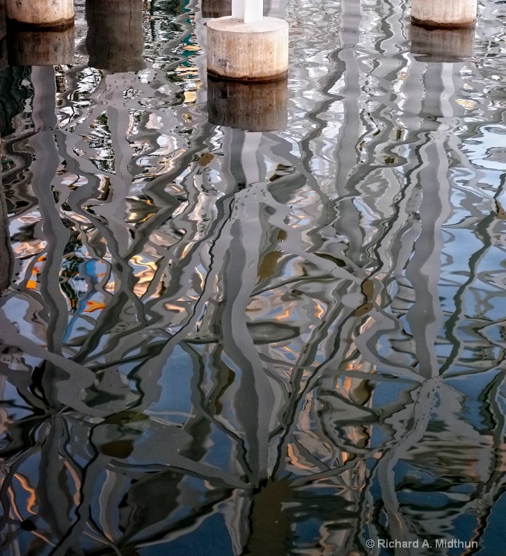 Reflectons of  Disney California Adventure Park