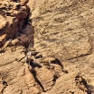Colorado Climbers