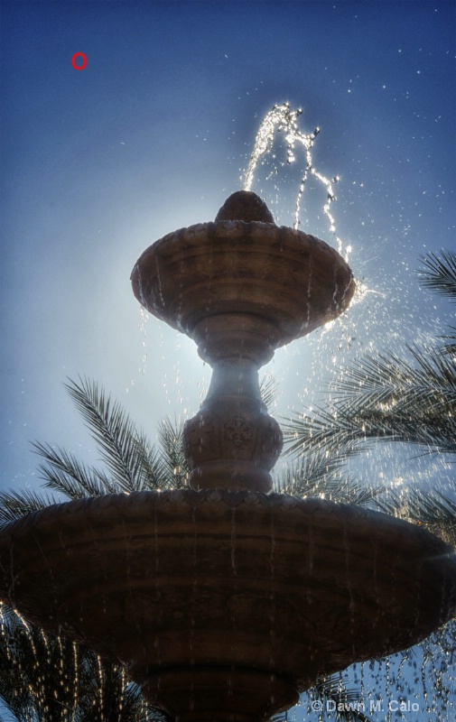 Vista Cay Fountain