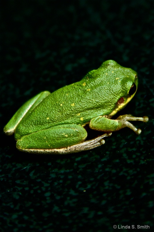 img4