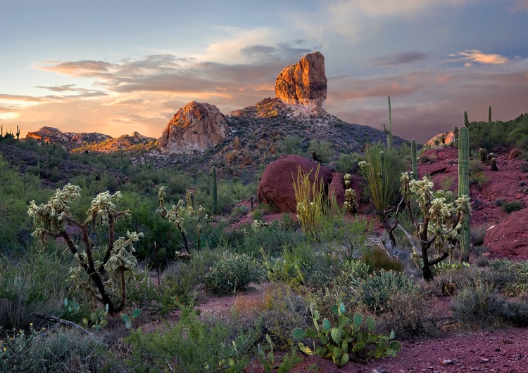 Superstition Mtns.