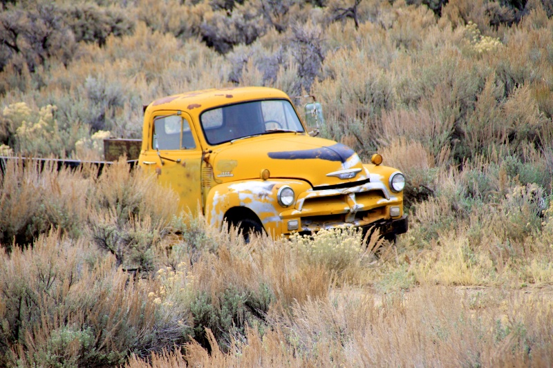 Old Pickup in the field 