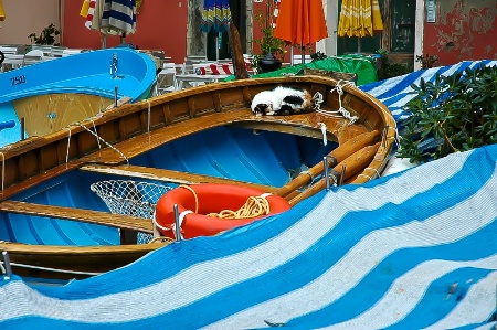 Cinque Terre, Italy