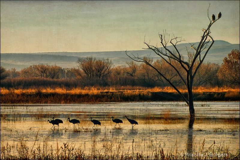 Promenade of the Cranes