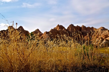 Badlands Gophers View