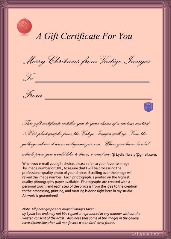 Gift Certificate - ID: 12635417 © Lydia Lee