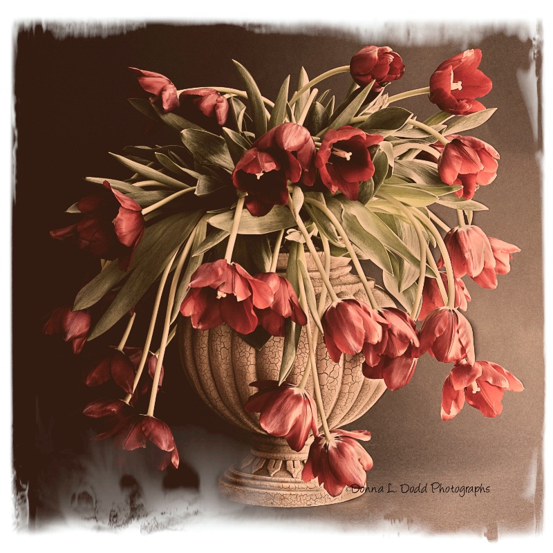 Vintage Tulips