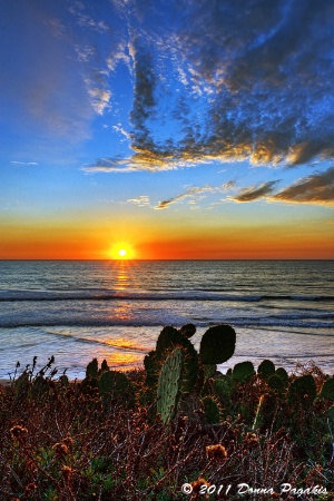 South Carlsbad State Beach Sunset 