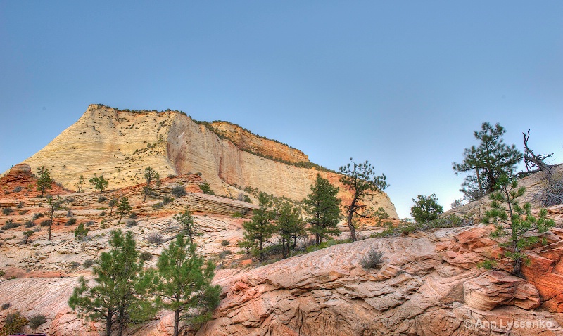 Zion Evening