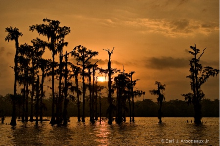 Louisiana Swamp Sunset