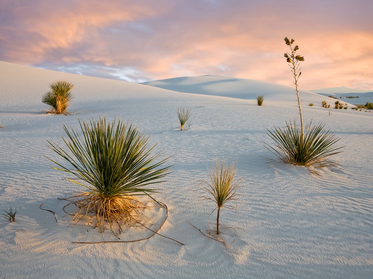 White Sands NM