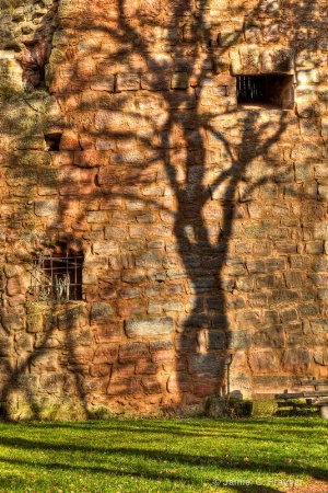 Shadow of a Tree on Landstuhl Castle