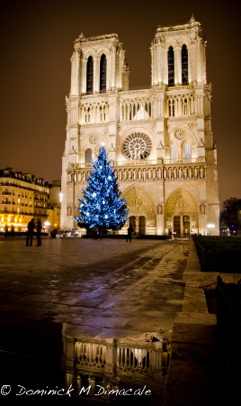 ~ ~ CHRISTMAS IN PARIS ~ ~