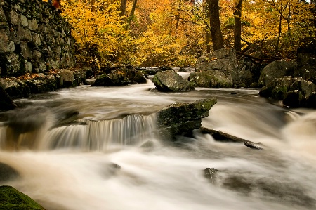 Silky Creek