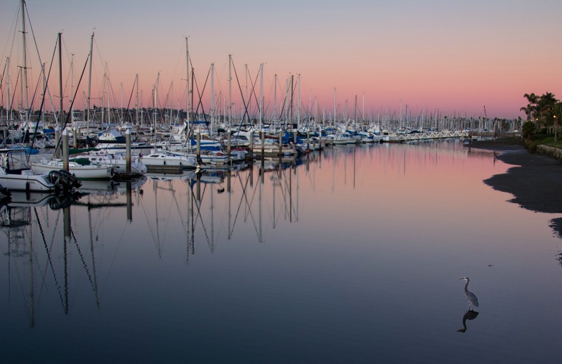 Clear and Still San Diego